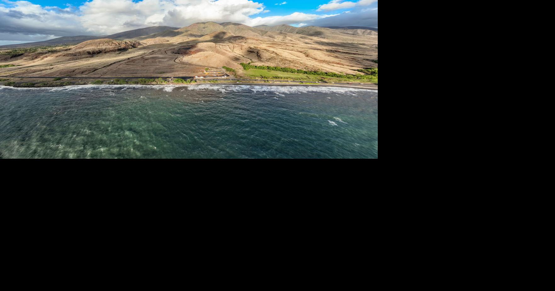 Maui Coral Reef Holds Secrets Of The Past — And The Future | Nation ...