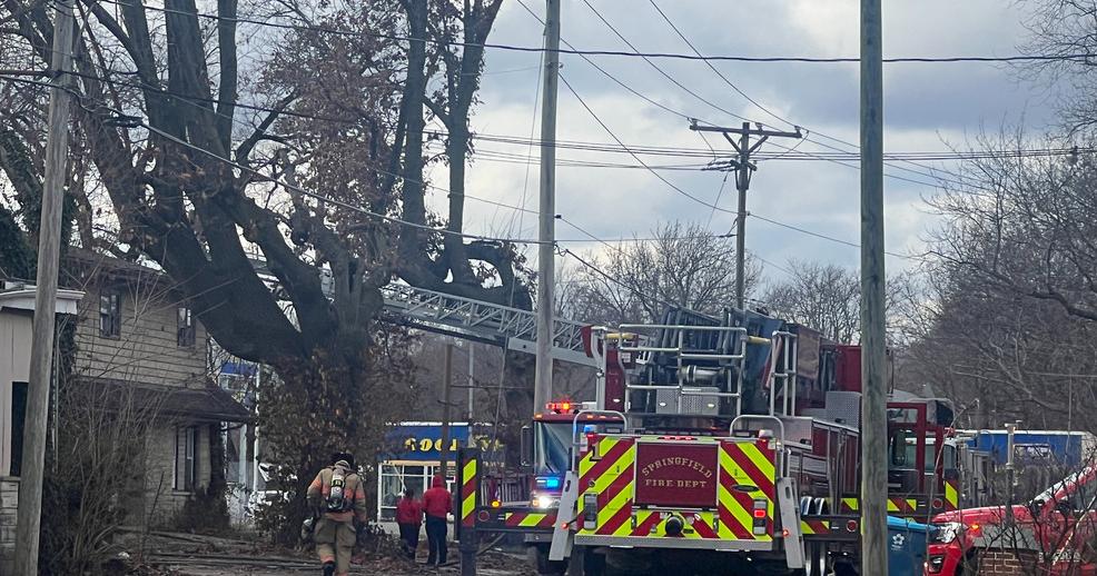 Springfield apartment fire displaces 13 people and a cat, leaves all ...