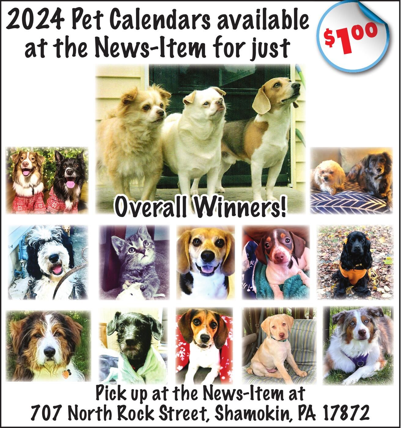 2024 Pet Calendars available 00 at Ads