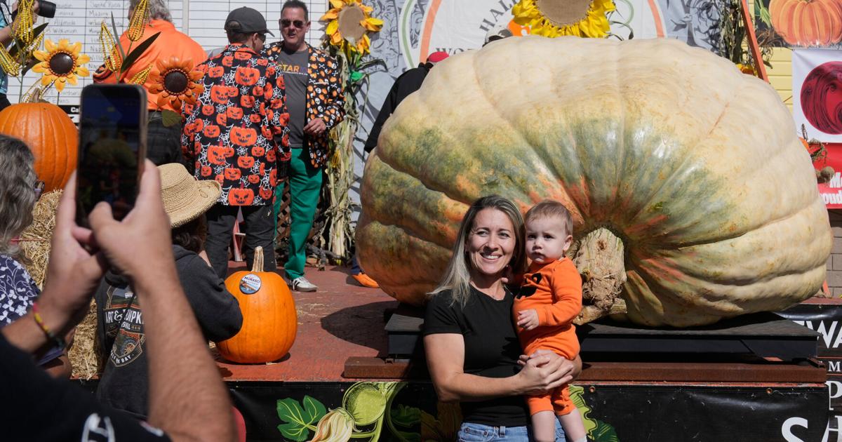 Photo: The News-Item Photos show giant pumpkins vying for heavyweight glory as pumpkin season gets underway
