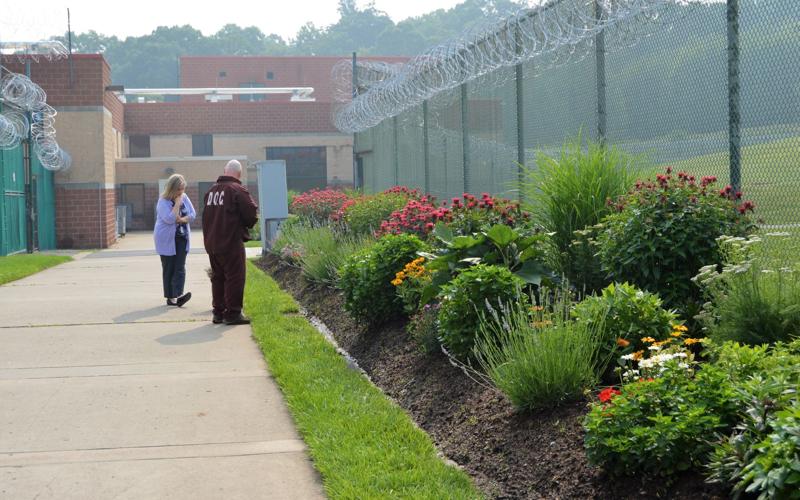 SCI Coal Township inmates grow flowers for health care facility
