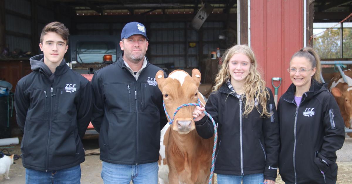 Fraley twins participate in cattle-raising competitions | Arts & Living ...