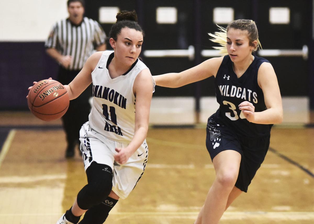 H S Girls Basketball All Area Team Consists Of Playmakers Who