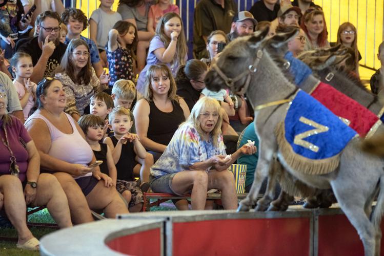 Zerbini Family Circus comes to Kulpmont Local