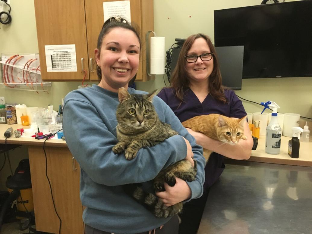 Page B2 | e-Edition | newsitem.com