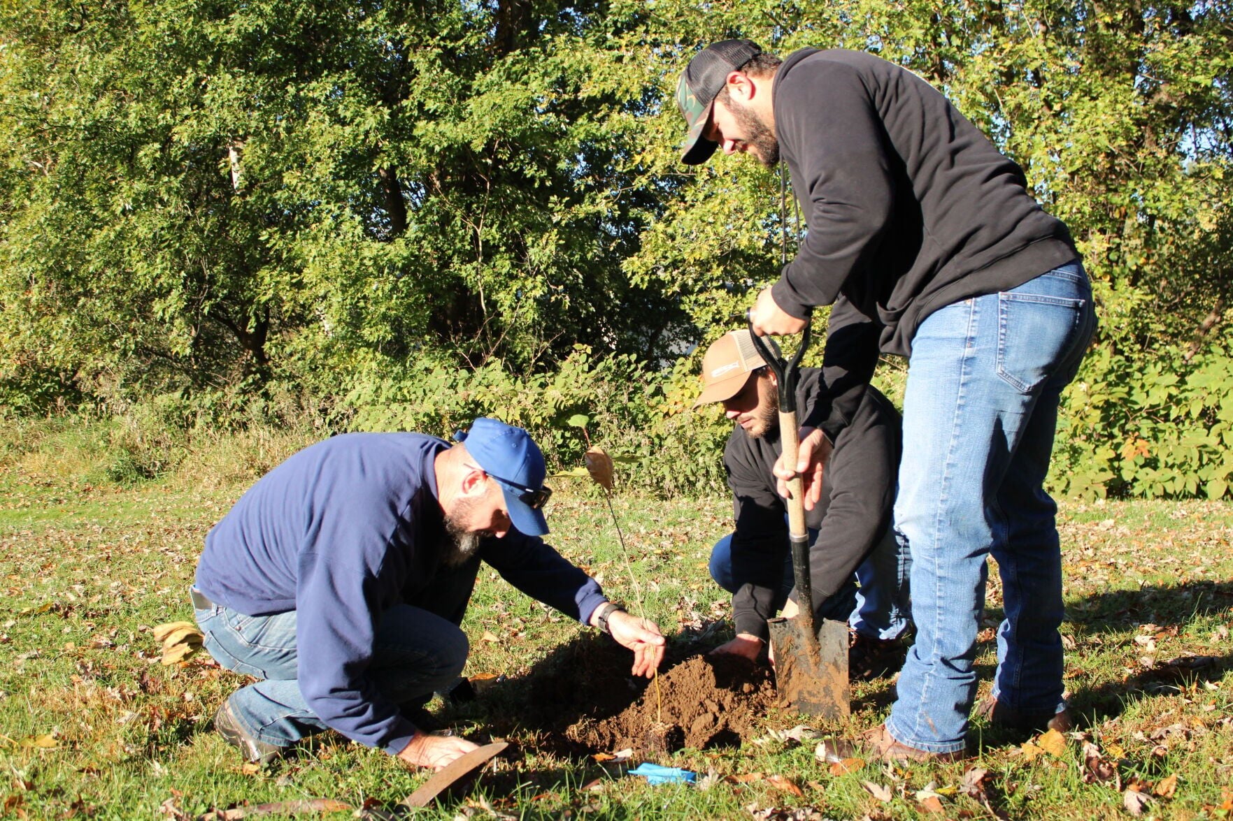 Vs Tree Tree-planting TIME | Local | newsitem.com