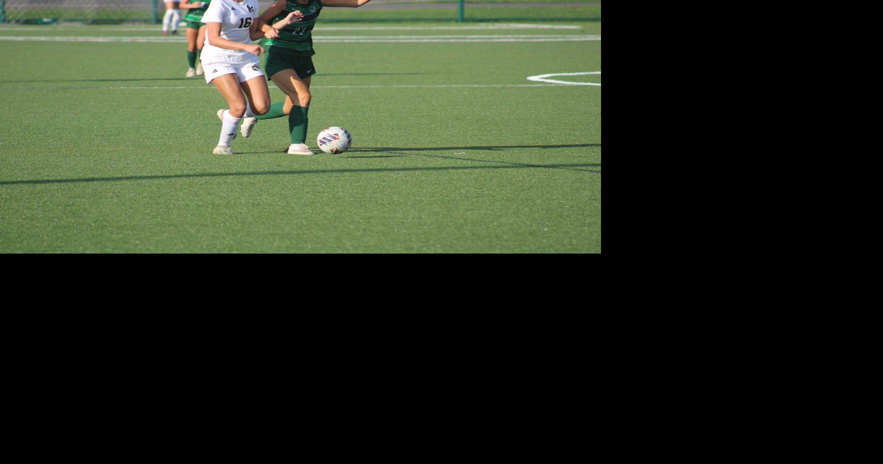 Southern continues hot start with 4-1 win at Lewisburg
