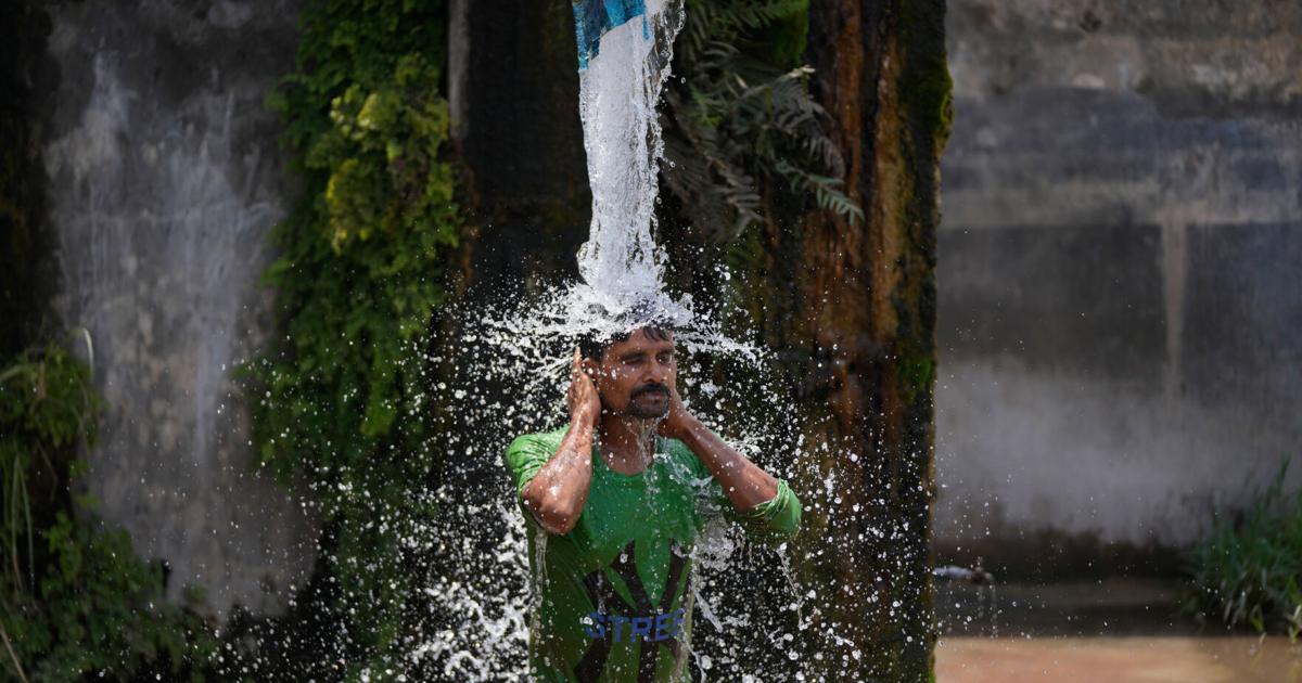 Photos show India sweltering under a severe heat wave | National ...
