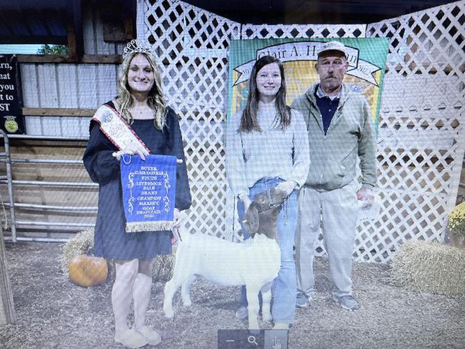 cs10202022 gratz livestock sale