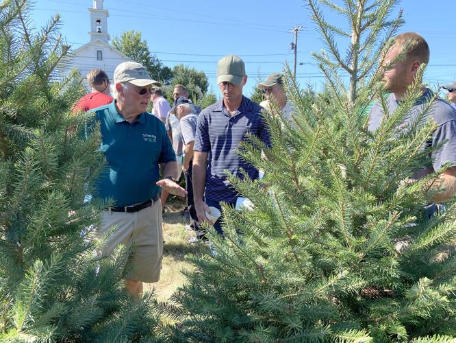 Christmas tree growers converge on Fountain farm