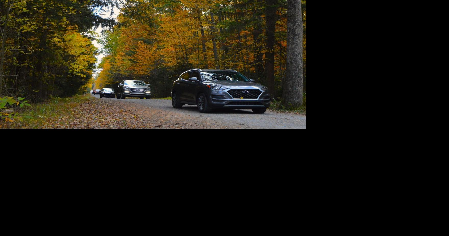 Fall foliage drive | Local | newsitem.com