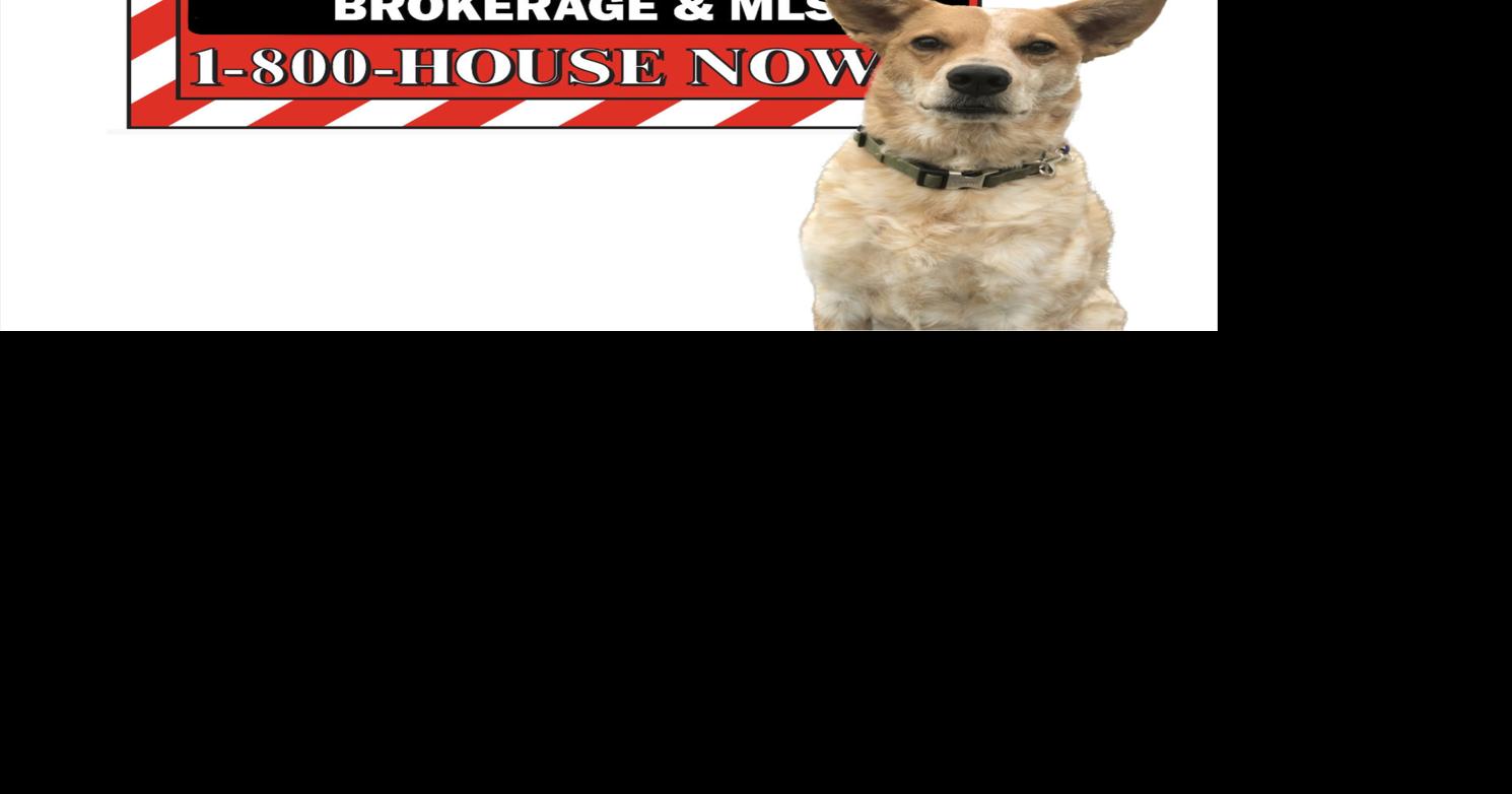 Bressi and Martin Real Estate Local leader in property sales Business