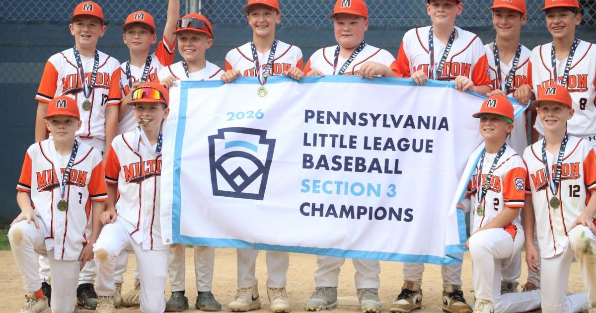 Little League Baseball: Milton's run sets tone for Panther baseball going forward