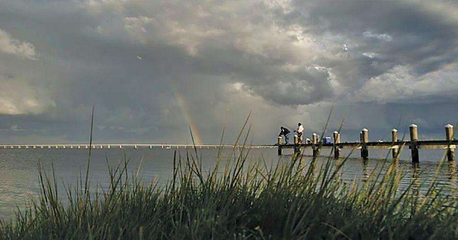 Chesapeake Bay dead zone smaller than average this year | | newsitem.com