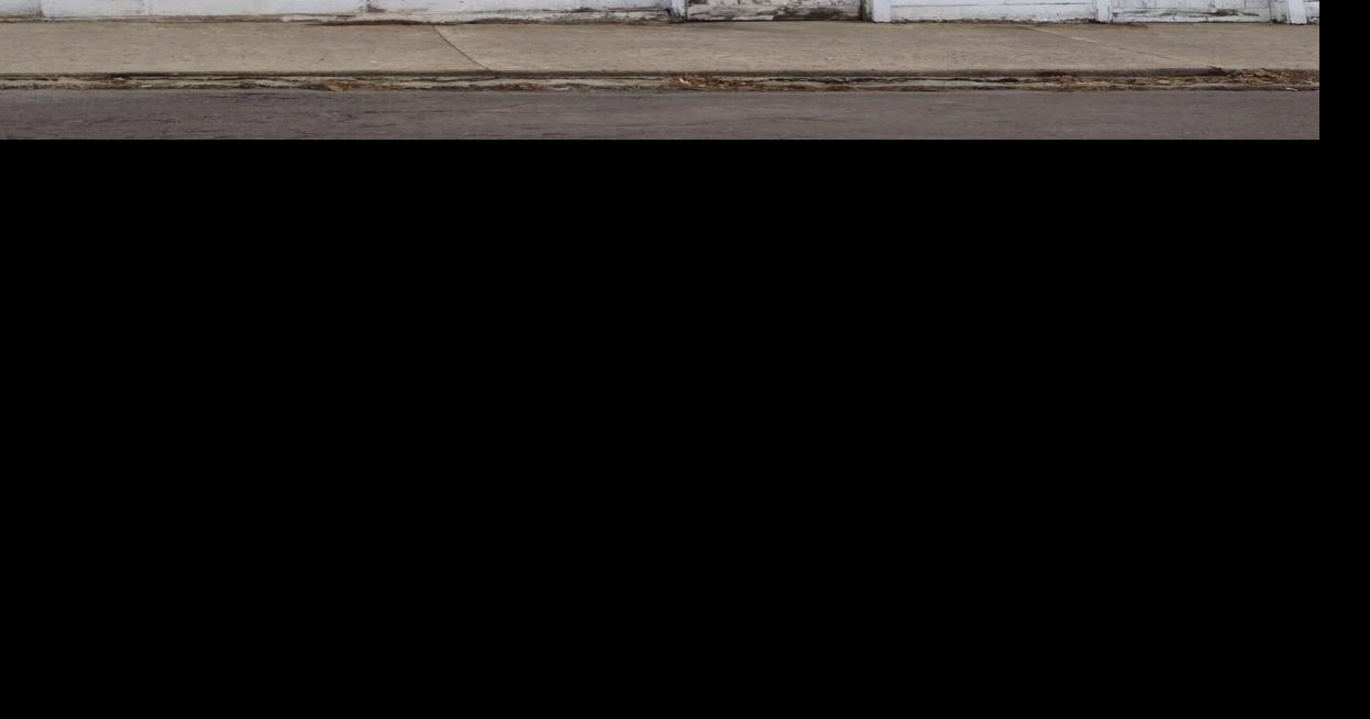 Mount Carmel drug bust Local