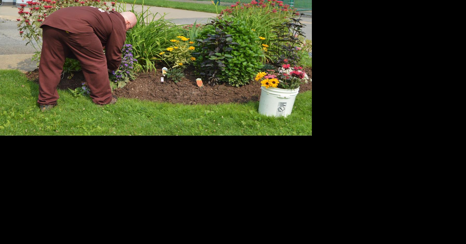 SCI Coal Township inmates grow flowers for health care facility