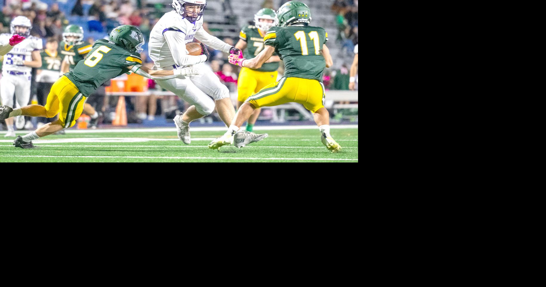 H.S. Football: Focus on football leading to big success for Steinhart