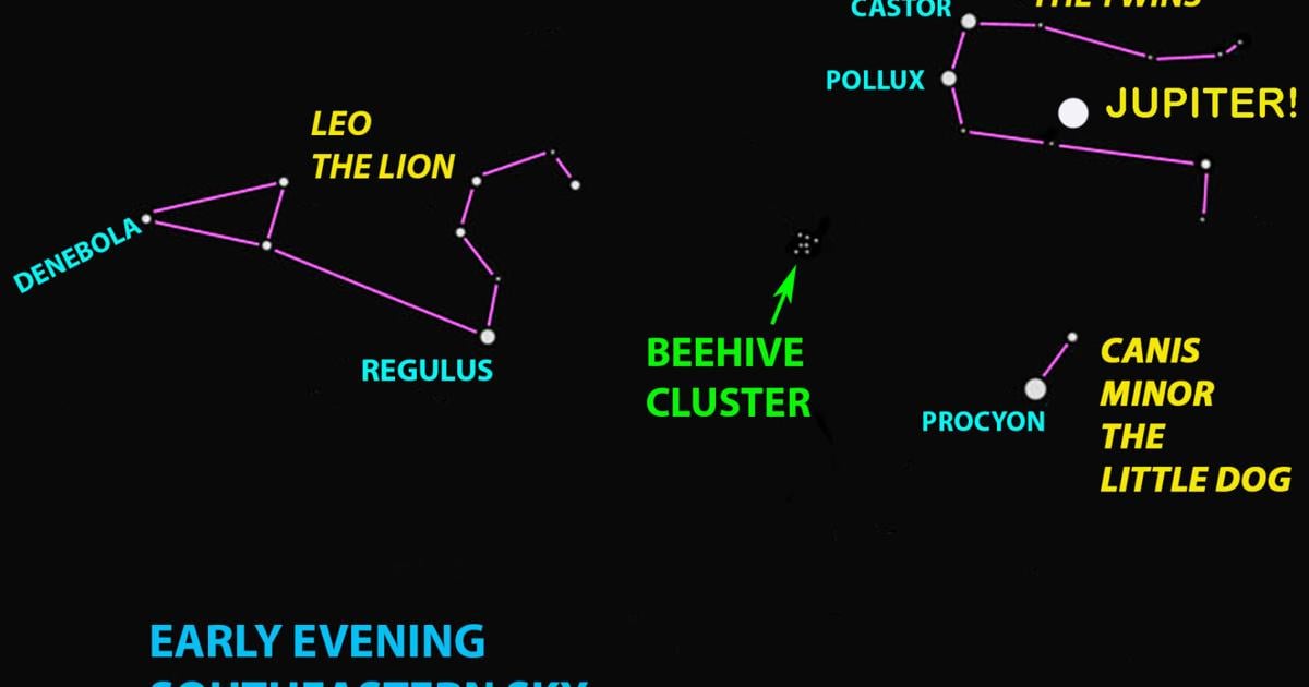 Starwatch: Astronomical spring boasts a beehive, a manger, donkeys in Shamokin night skies