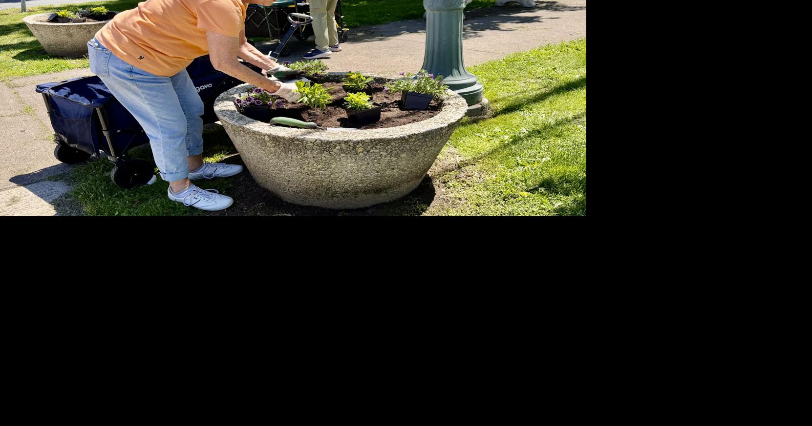 Shamokin garden group distributes more than 1,000 tomato and pepper plants.