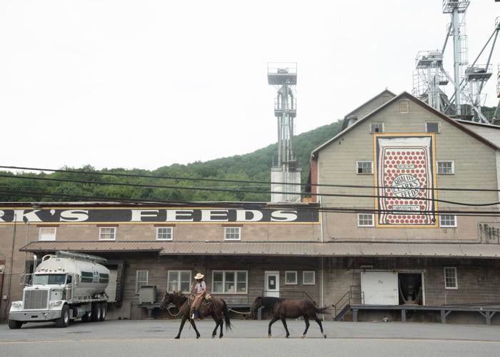 Man on horseback riding across America passes through area | Local ...