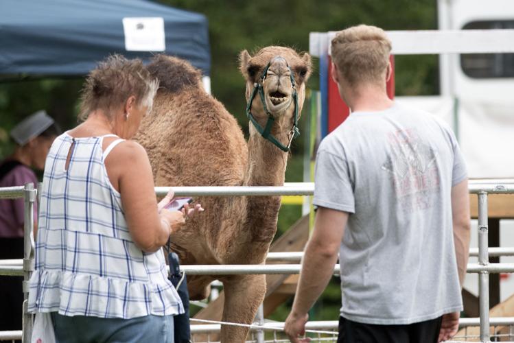 Northumberland County Fair continues today Local