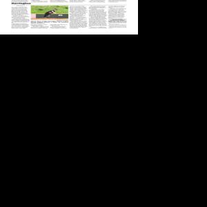 Page B3 | e-Edition | newsitem.com