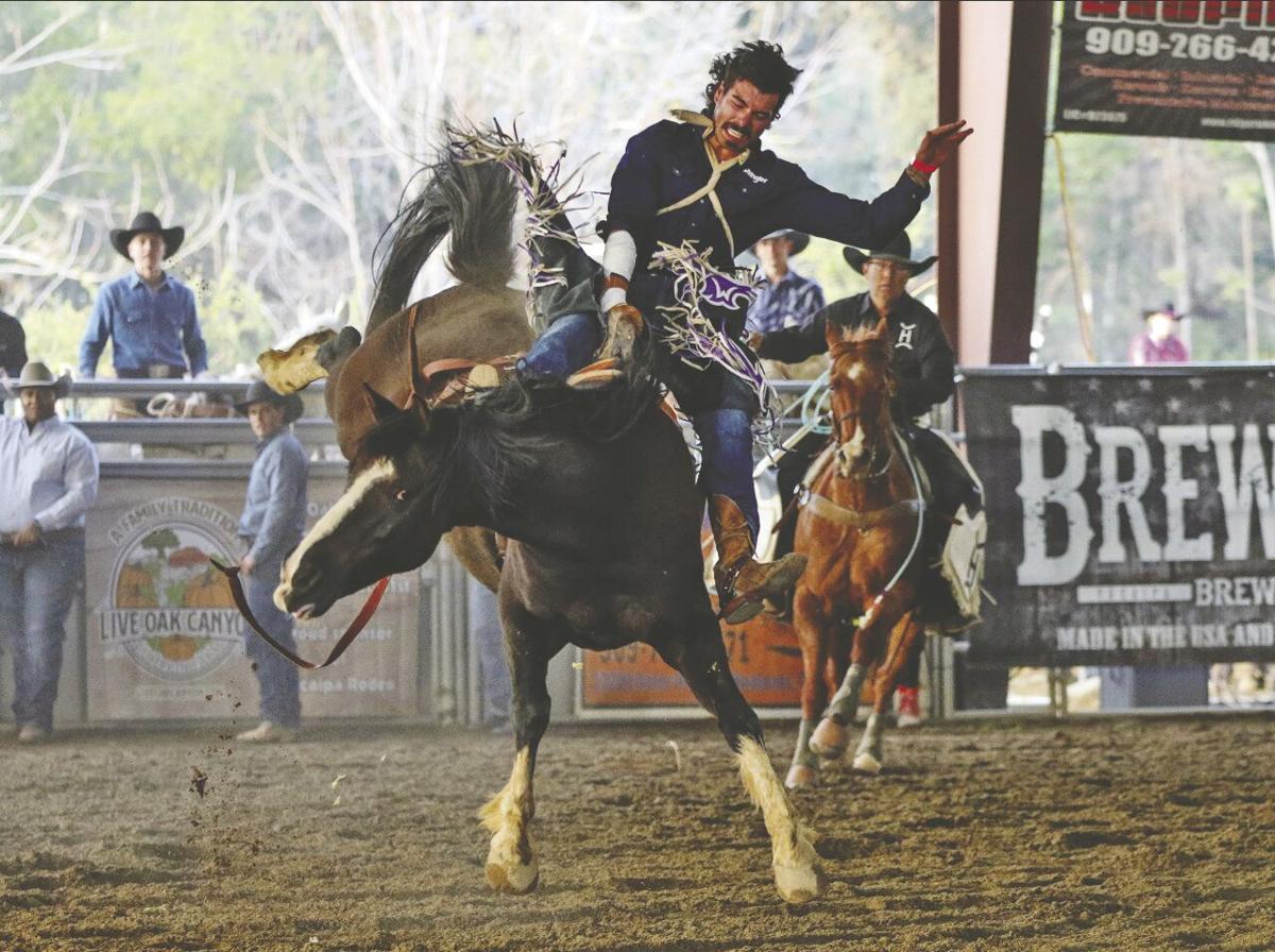 Get ready for the Yucaipa Rodeo News