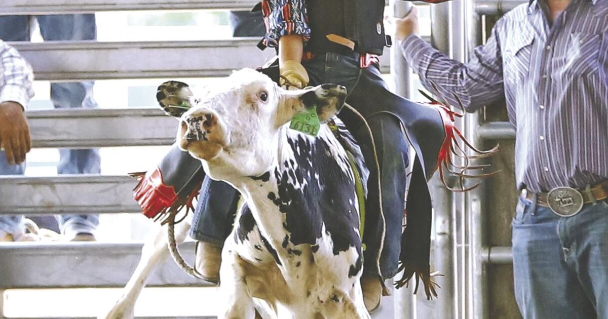 Yucaipa Equestrian Center hosts junior rodeo | News | newsmirror.net