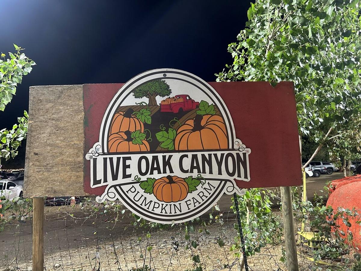 Oak Canyon Pumpkin Patch