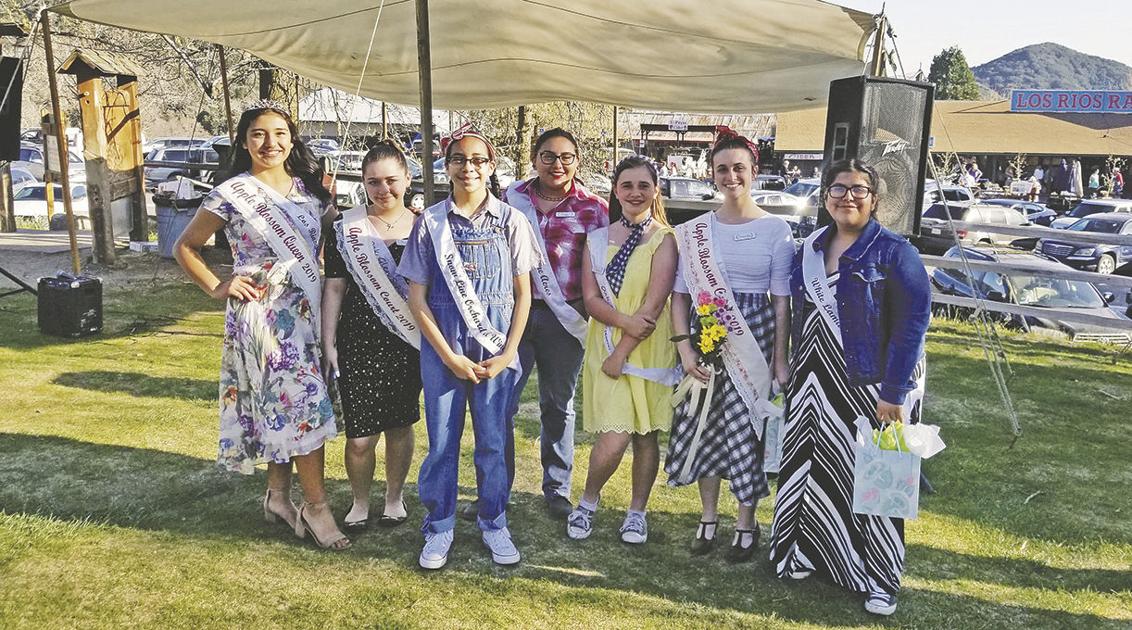 Another Picture Perfect Apple Blossom Festival Local News Newsmirror Net