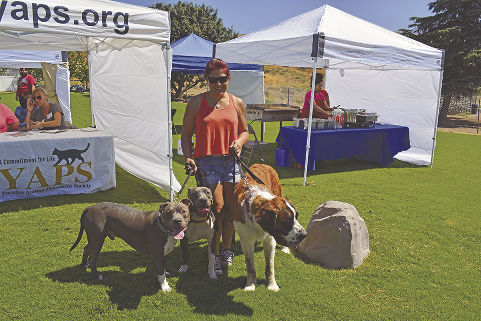 Animal vaccine clinic at YAPS is a success | Local News | newsmirror.net