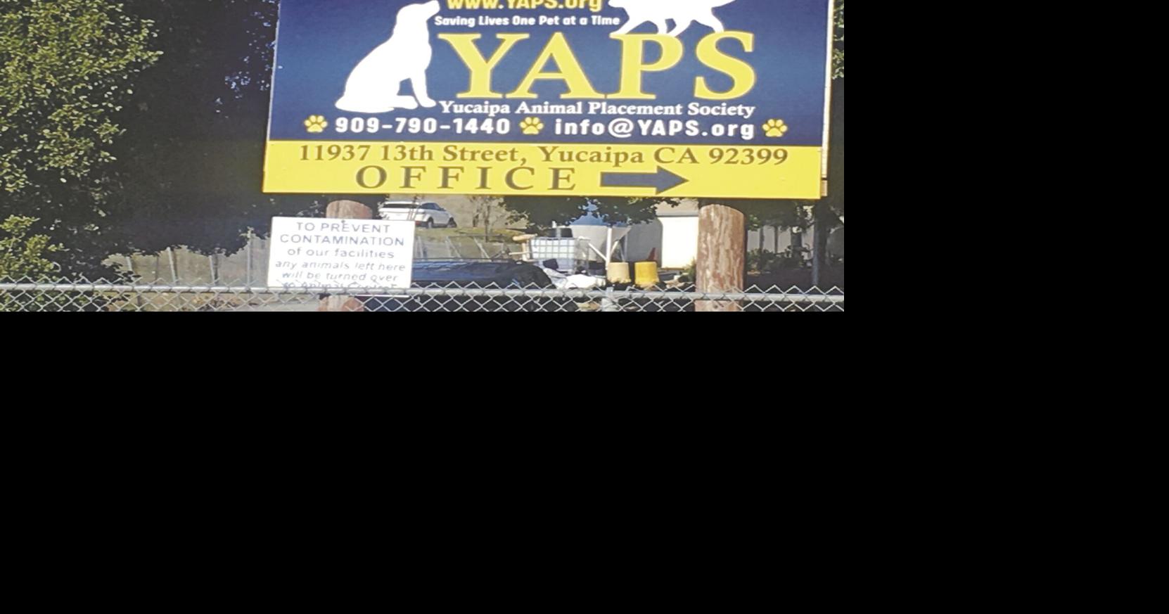 Yucaipa Animal Placement Society 2022 in review News