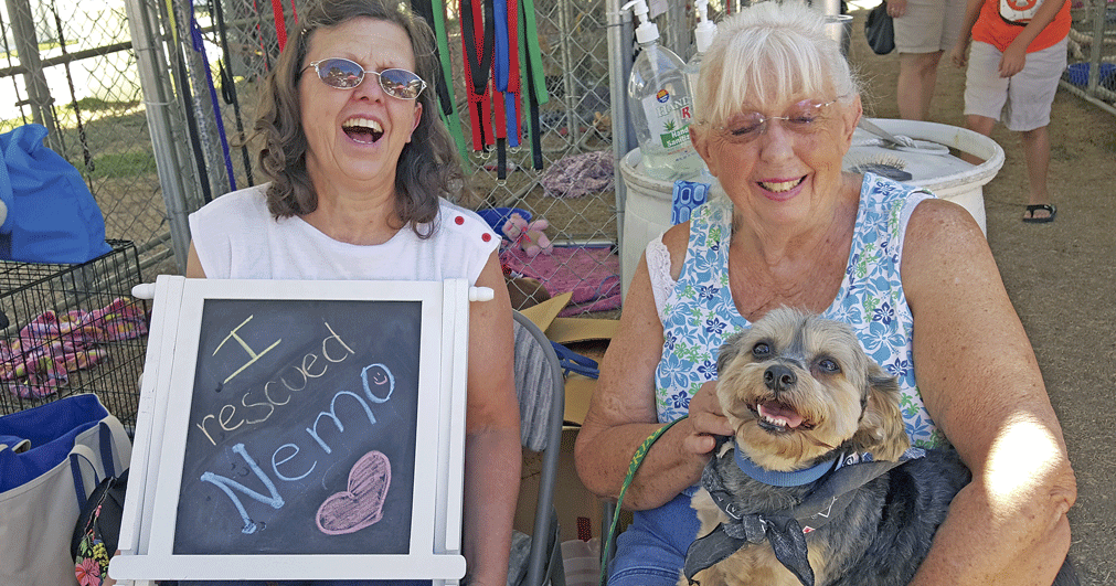 About 100 dogs and cats find homes at the mega adoption event | Local ...
