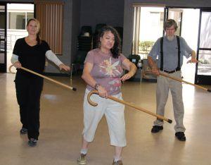 cane defense self newsmirror