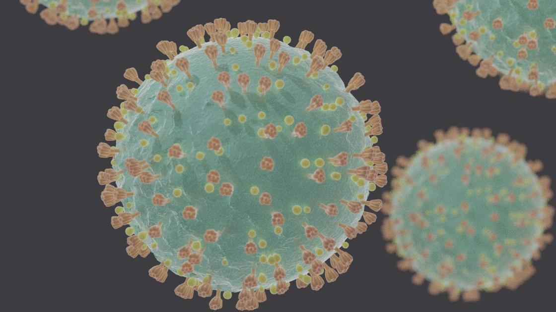 First Case Of Novel Coronavirus Confirmed In San Bernardino County Breaking News Newsmirror Net
