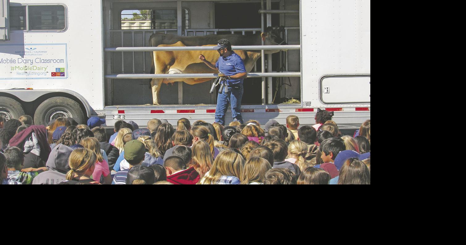 Wildwood students meet a cow up close and personal | Schools ...