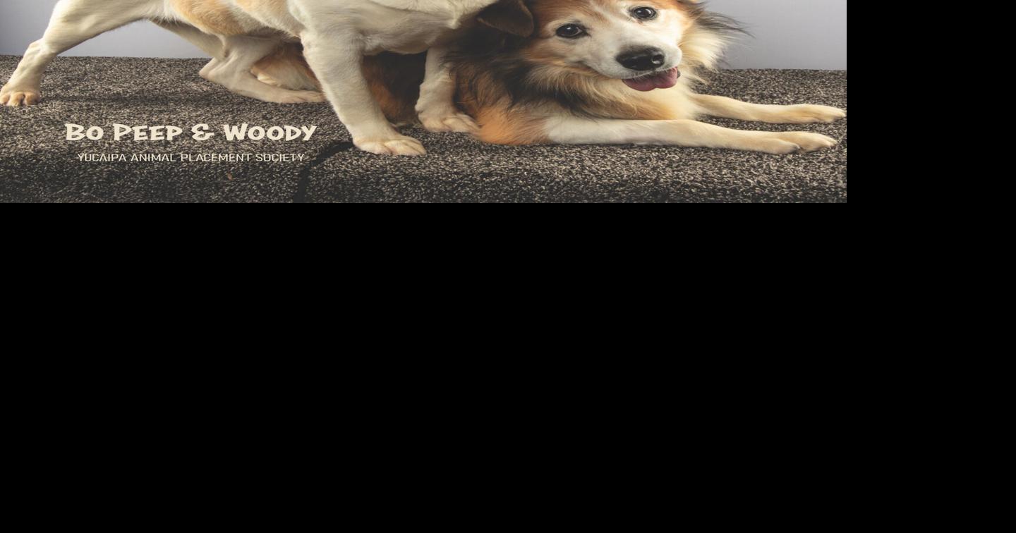 YAPS Pets of the Week —Bo Peep and Woody