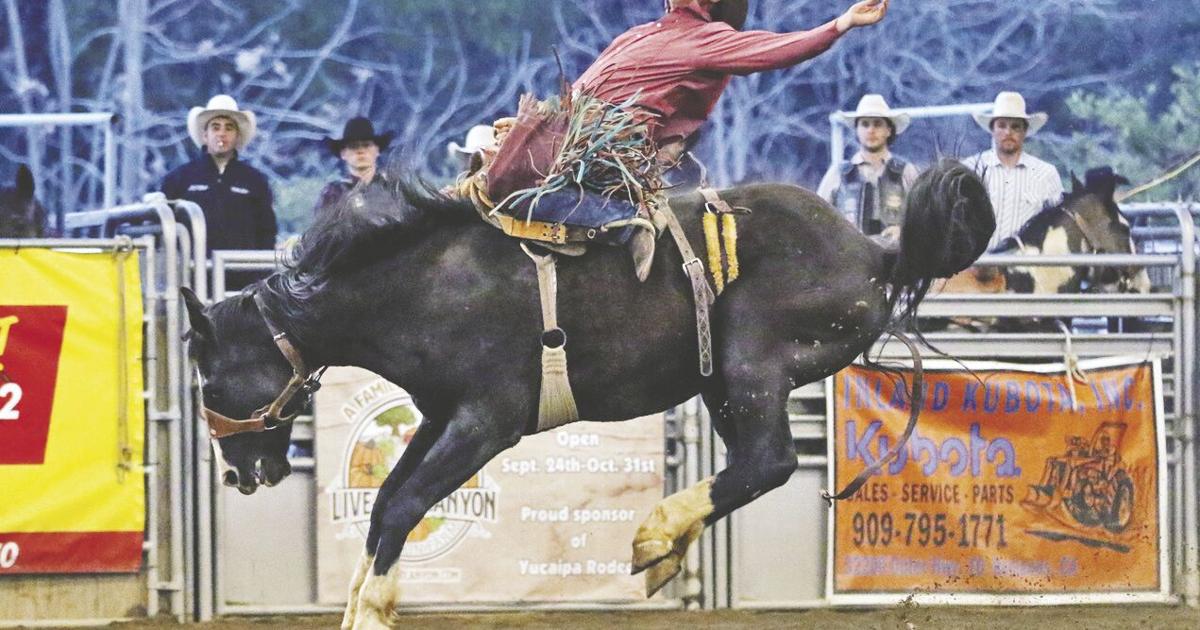 Record crowds at Yucaipa Rodeo | News | newsmirror.net
