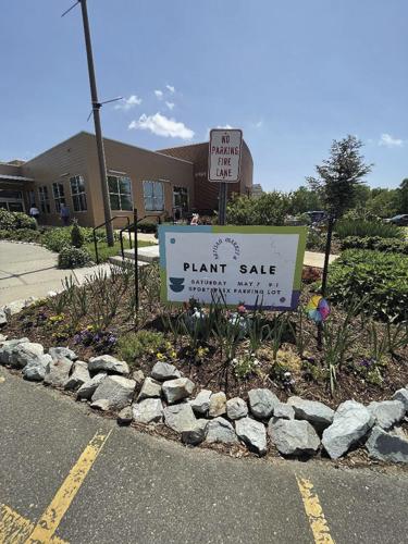 Passmore plant sale