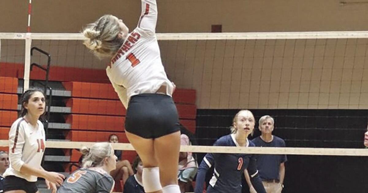 Red Wolves, Panthers start strong in volleyball