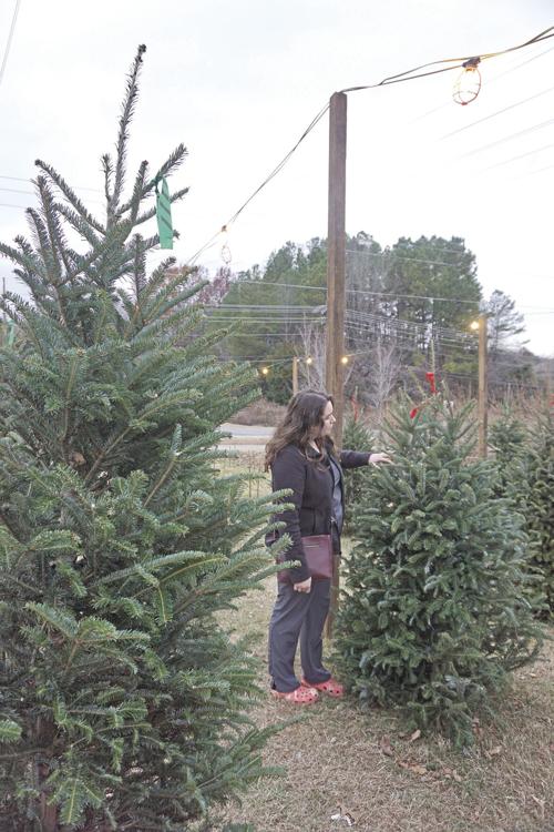 Christmas Trees Nc Farmers Market 2022 Christmas Trees Are Again In Short Supply | Business | Newsoforange.com