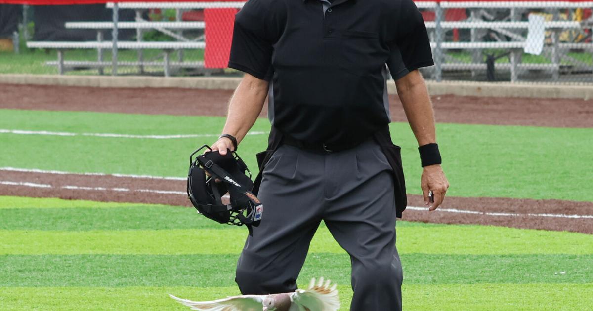 Post 142 Junior Shockers conclude season in Region 3 tourney