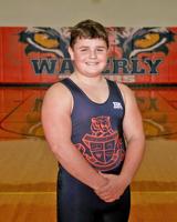 Tigers see boys wrestling season end at district tourney
