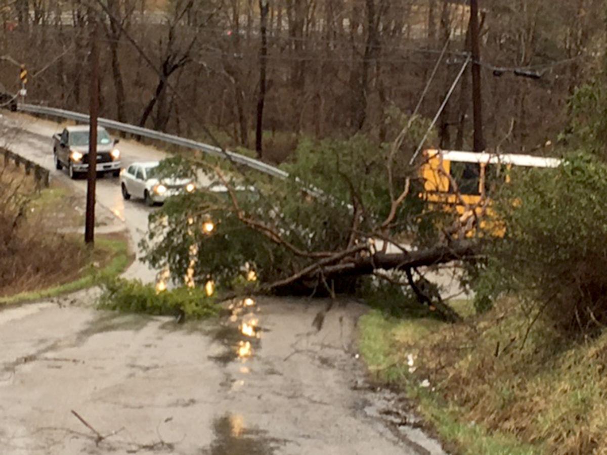 Pike County Storm Damage (Photos Submitted by Locals) News