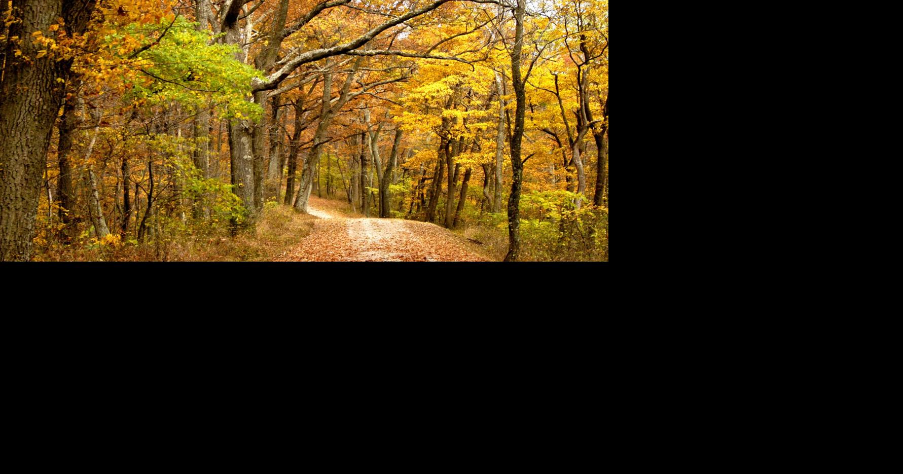 Brewing Locally Image