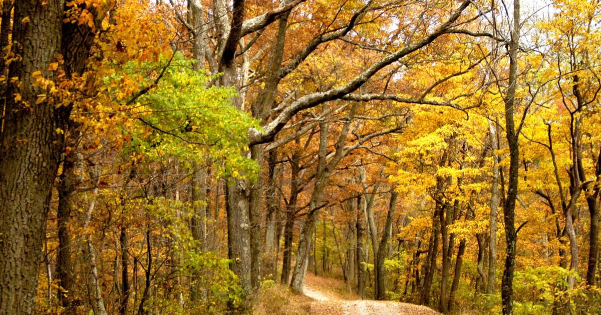 Brewing Locally Image