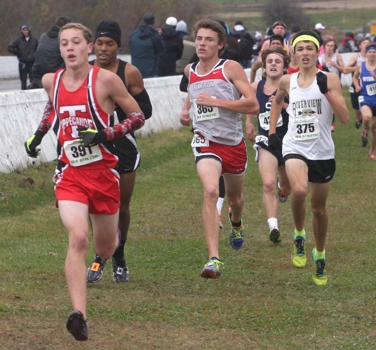 Redstreaks run for fifth in Division II state cross country meet ...