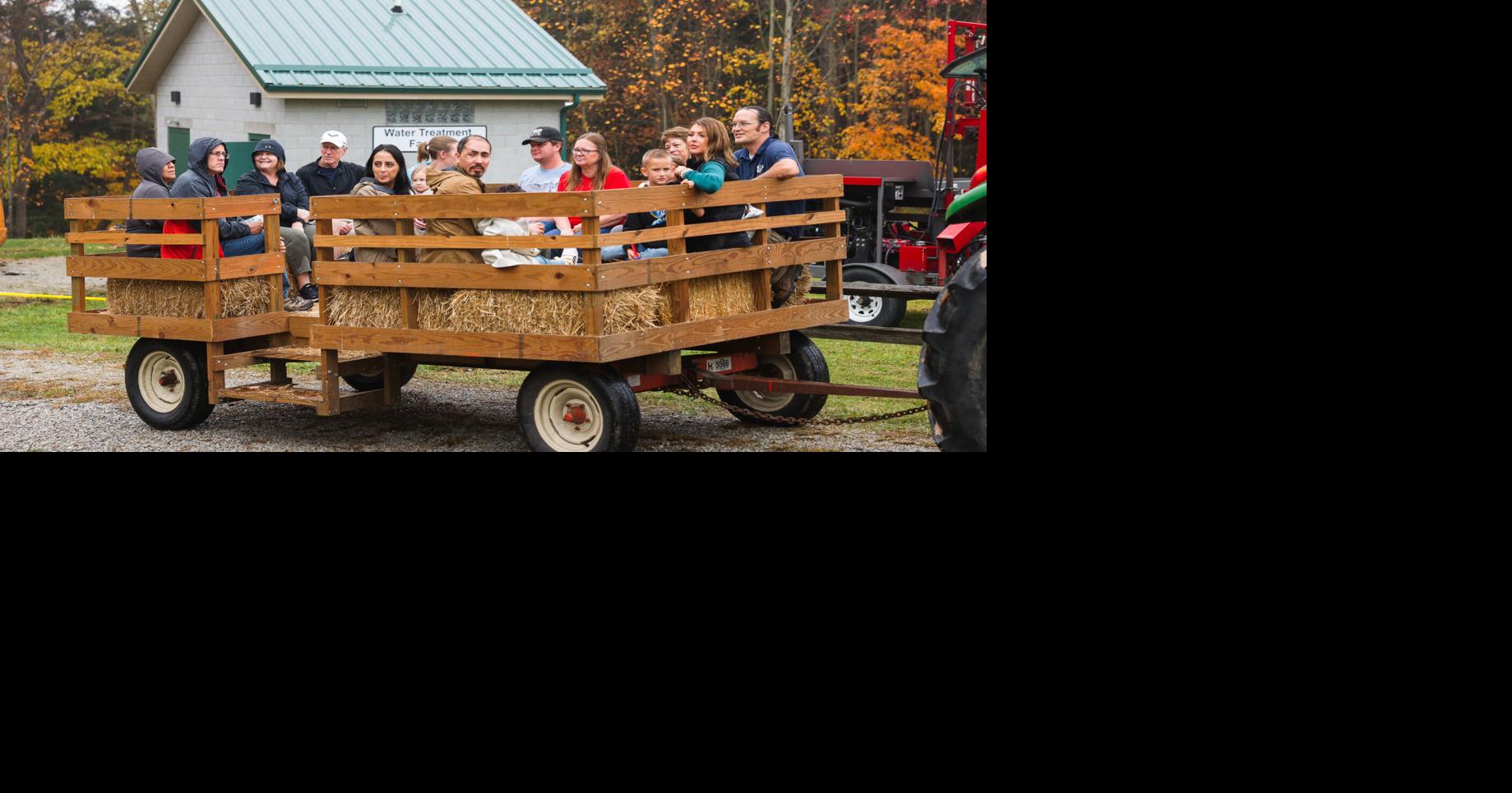 Brewing Locally Image