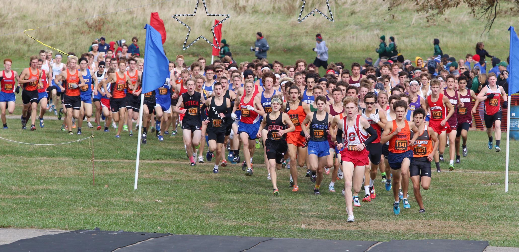 State Cross Country Meet - Nov. 2, 2019 | Gallery | Newswatchman.com