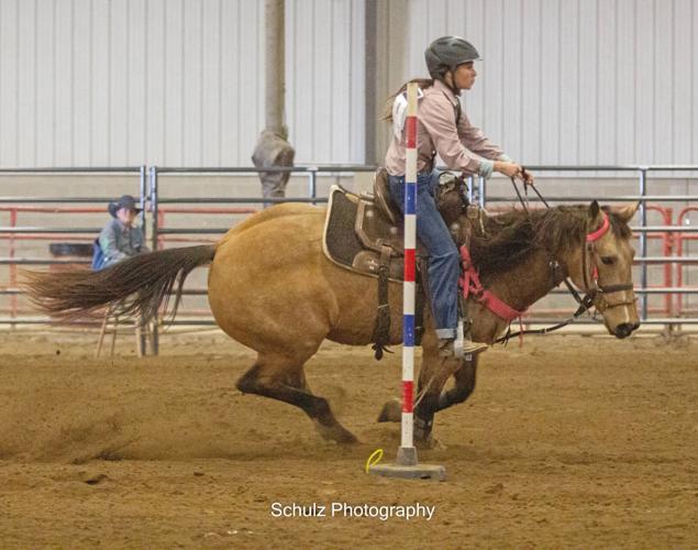 Competition drives Ewing's success in horse and rodeo competitions